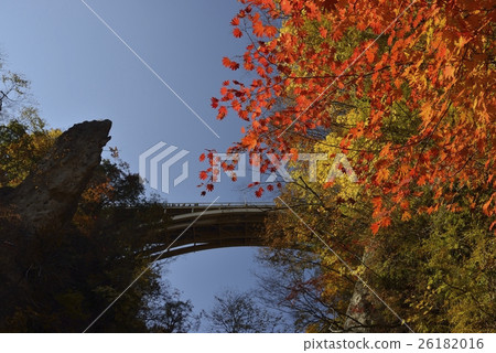 From the autumn leaves / promenade of Naruko Gorge Taisuzawa Bridge (Miyagi prefecture) From the autumn leaves / promenade of Naruko Gorge Taisuzawa Bridge (Miyagi prefecture) 26182016