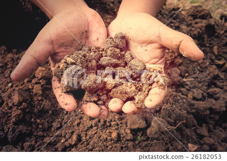 Pool soil very hard in the human hand holding. Pool soil very hard in the human hand holding. 26182053