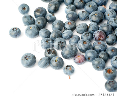 Pile of Bilberry or blueberry over isolated white Pile of Bilberry or blueberry over isolated white 26183321