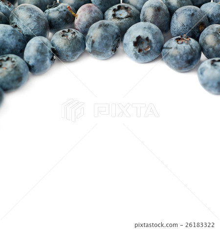 Bilberry or blueberry over isolated white Bilberry or blueberry over isolated white 26183322