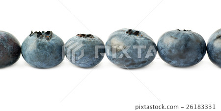 Line made of Bilberry or blueberry over isolated Line made of Bilberry or blueberry over isolated 26183331