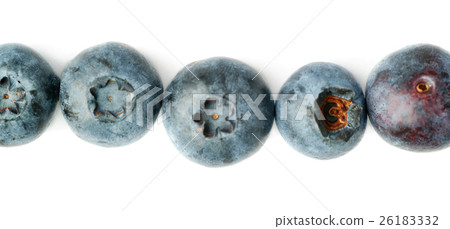 Line made of Bilberry or blueberry over isolated 26183332