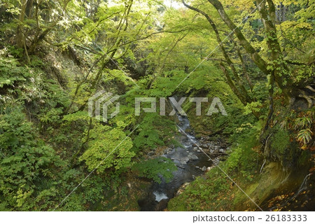 Oniki Kanbetsu Izumi · Yu Taki no yu flows in Misawa (Miyagi Prefecture) 26183333