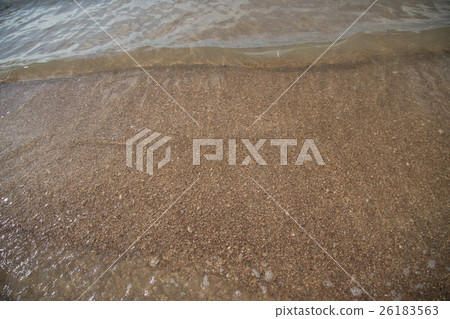 Golden Scale Dragon Spine Beach in Trang Golden Scale Dragon Spine Beach in Trang 26183563