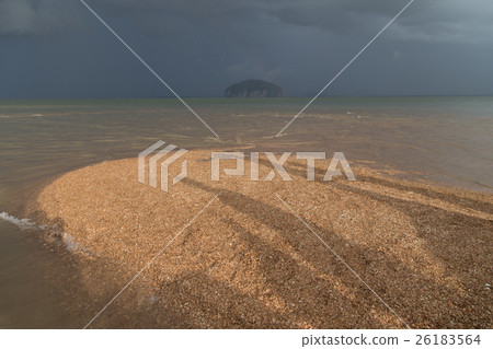 Golden Scale Dragon Spine Beach in Trang Golden Scale Dragon Spine Beach in Trang 26183564