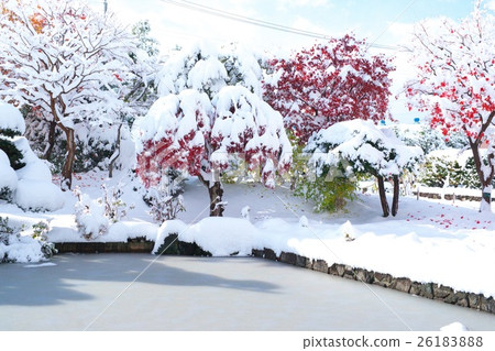 深秋與新雪之間的合作 26183888