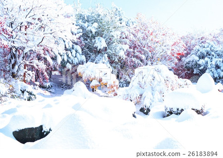 Collaboration between late autumn and fresh snow Collaboration between late autumn and fresh snow 26183894