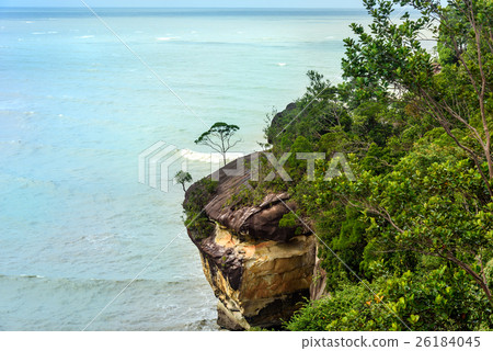 Telok padan kecil Cliff in Bako National Park 26184045