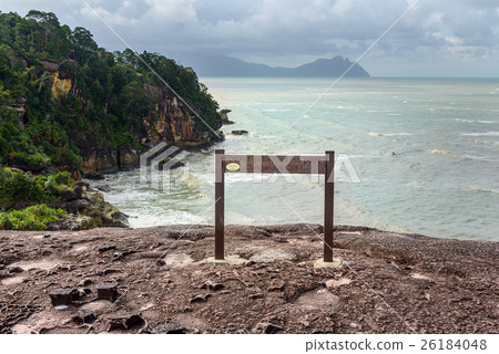 Pointer on cliff in Bako National Park 26184048