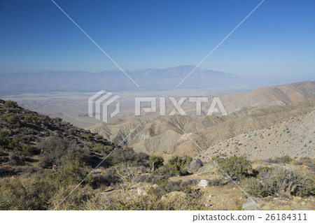 California desert 26184311