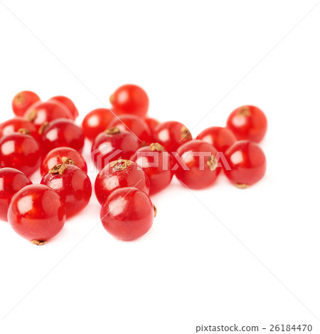 Red Currant isolated over white background 26184470