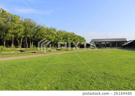 Lawn of Oizumi green area Lawn of Oizumi green area 26184480
