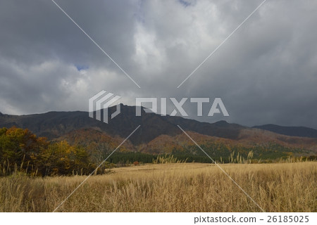 Susukino Field and Buddhist / Onikobe (Miyagi Prefecture) Susukino Field and Buddhist / Onikobe (Miyagi Prefecture) 26185025