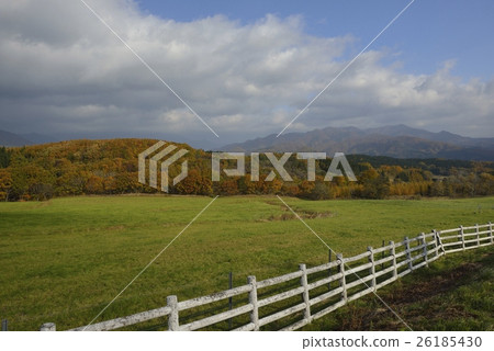 Autumn leaves of a pasture / Naruko Onsen Onikobe (Miyagi Prefecture) 26185430