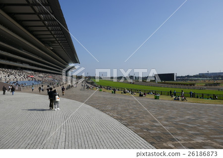 東京賽馬場的前台 26186873