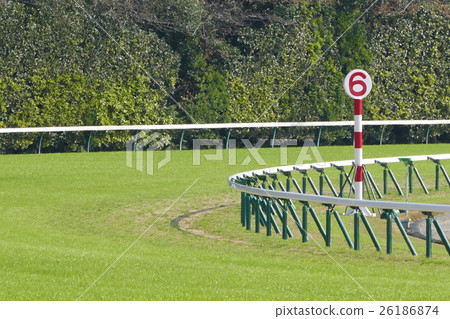 東京賽馬場的最後一個角落 26186874