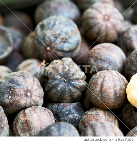 dry lemon in abstract pattern dry lemon in abstract pattern 26187102