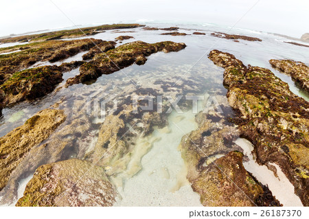 in south africa   sky ocean    reserve 26187370