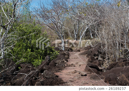 Sero Tietretas 26189237