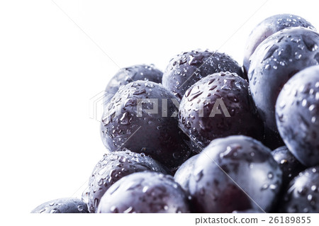 Grape Pione 26189855