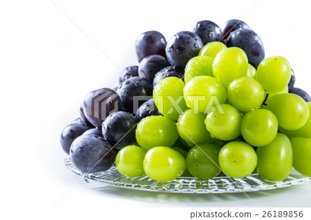 Grape Pione and Shine Muscat 26189856