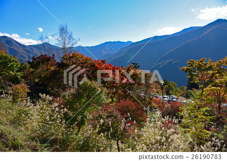 Mimen寺廟秋葉 26190783