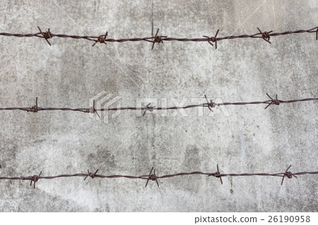 Barb with rusty Barb with rusty 26190958