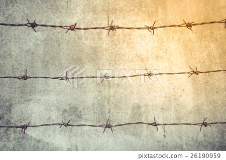 Barb with rusty Barb with rusty 26190959