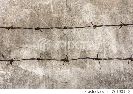 Barb with rusty Barb with rusty 26190960