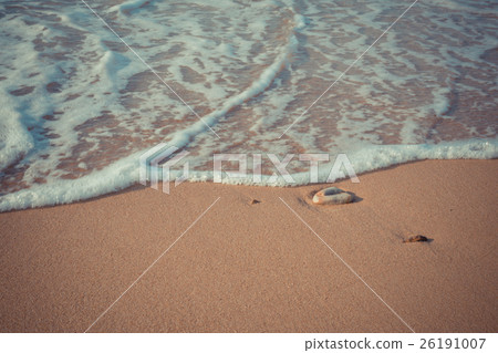 Beach and tropical sea 26191007