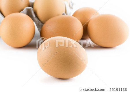 在白色背景上的雞蛋 26191188