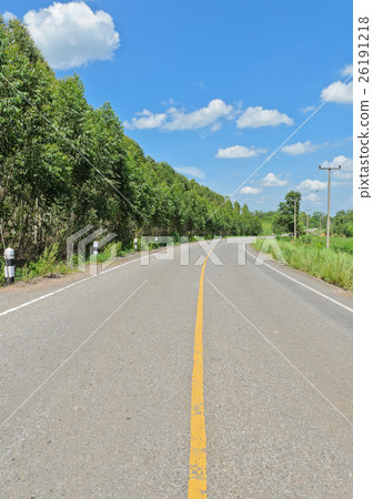 Countryside road along with Eucalyptus tree Countryside road along with Eucalyptus tree 26191218