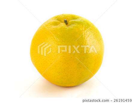 特寫的橘子在白色的背景上 26191459