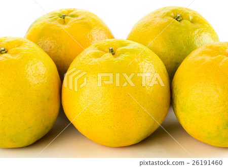 特寫的橘子在白色的背景上 26191460