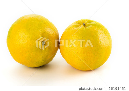 特寫的橘子在白色的背景上 26191461