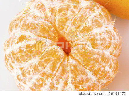 Closeup of oranges on a white background 26191472