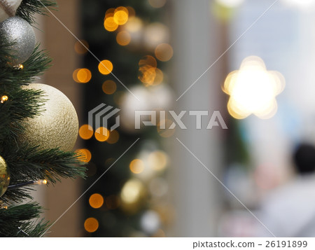 Christmas tree  26191899