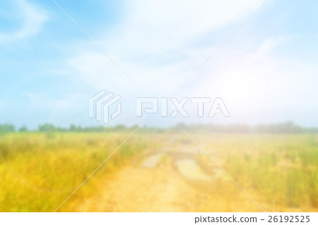 Blurred rice field and blue sky 26192525