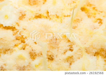 Macro of orange peel back texture surface Macro of orange peel back texture surface 26192568