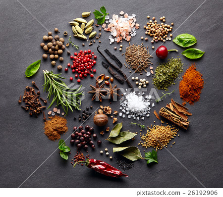 Spices with herbs on a graphite board 26192906