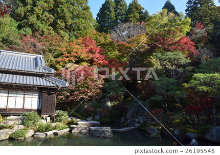 Baekjeji gardens in autumn Bonbo Baekjeji gardens in autumn Bonbo 26195548