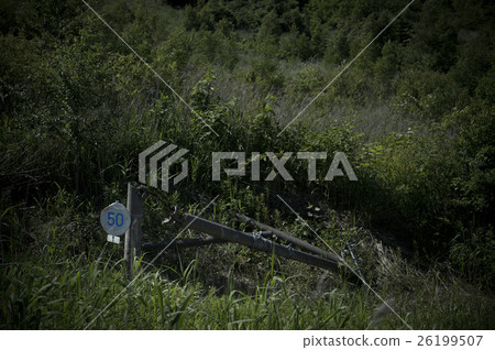 Toya Nishiyama mountain foot crater (broken telephone pole) 26199507