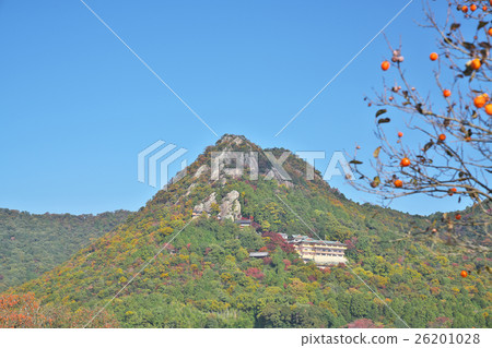 Taro Boy Palace in autumn 26201028