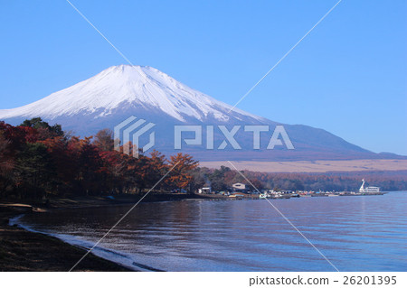 山中湖富士和秋葉 山中湖富士和秋葉 26201395