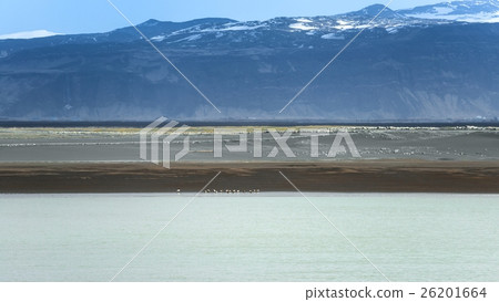Landscape on Iceland Landscape on Iceland 26201664