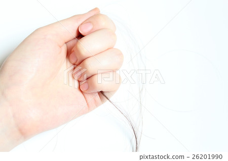 脫髮/剪髮 26201990