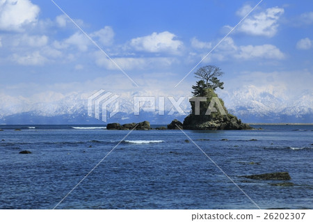 富山縣Ameyama海岸和立山山脈 26202307