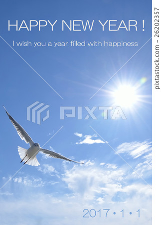 2017年航班新年卡 26202357