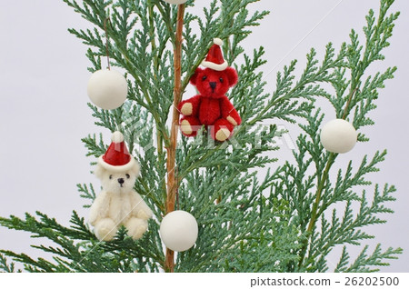 Conifer and teddy bear 26202500
