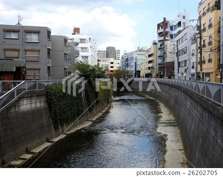 渴望Takatsuka Bridge / Kanda River的下游 渴望Takatsuka Bridge / Kanda River的下游 26202705
